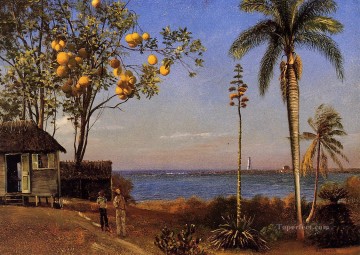 A View in the Bahamas Albert Bierstadt Landscapes brook Oil Paintings